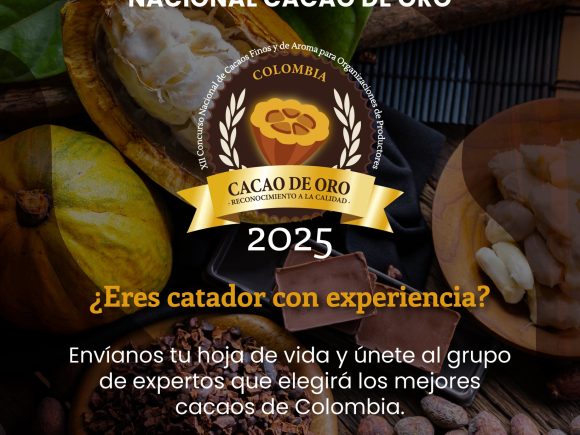 ¡Convocatoria abierta!