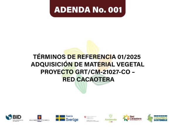 Términos de Referencia