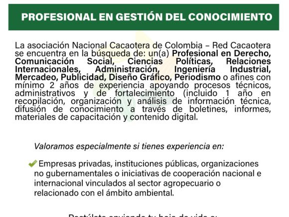 Profesional en Gestión del Conocimiento