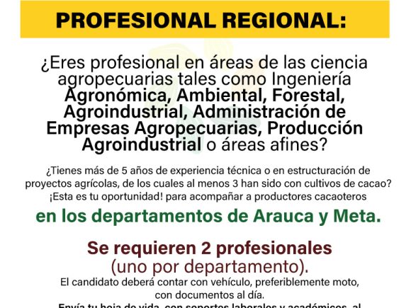 Profesional Regional