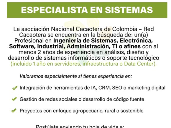 Especialista en Sistemas