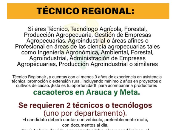 Técnico Regional