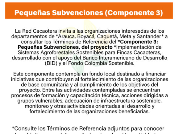 Convocatoria – Pequeñas Subvenciones (Componente 3)